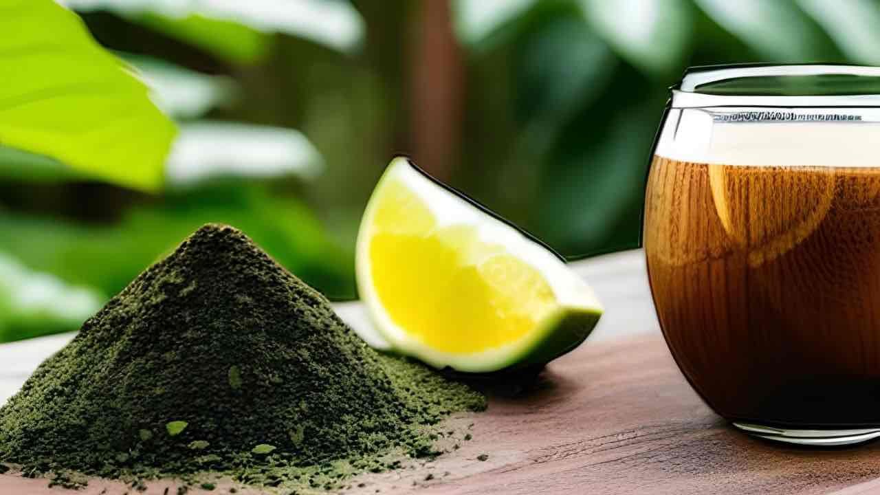 Cuáles Son Los Beneficios De La Yerba Mate: La Bebida Más Popular De Sudamérica